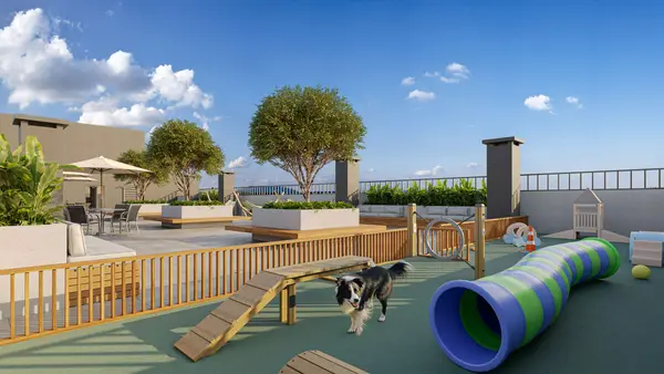 Área Pet do rooftop: circuito cercado para o seu cachorro (perspectiva artística)